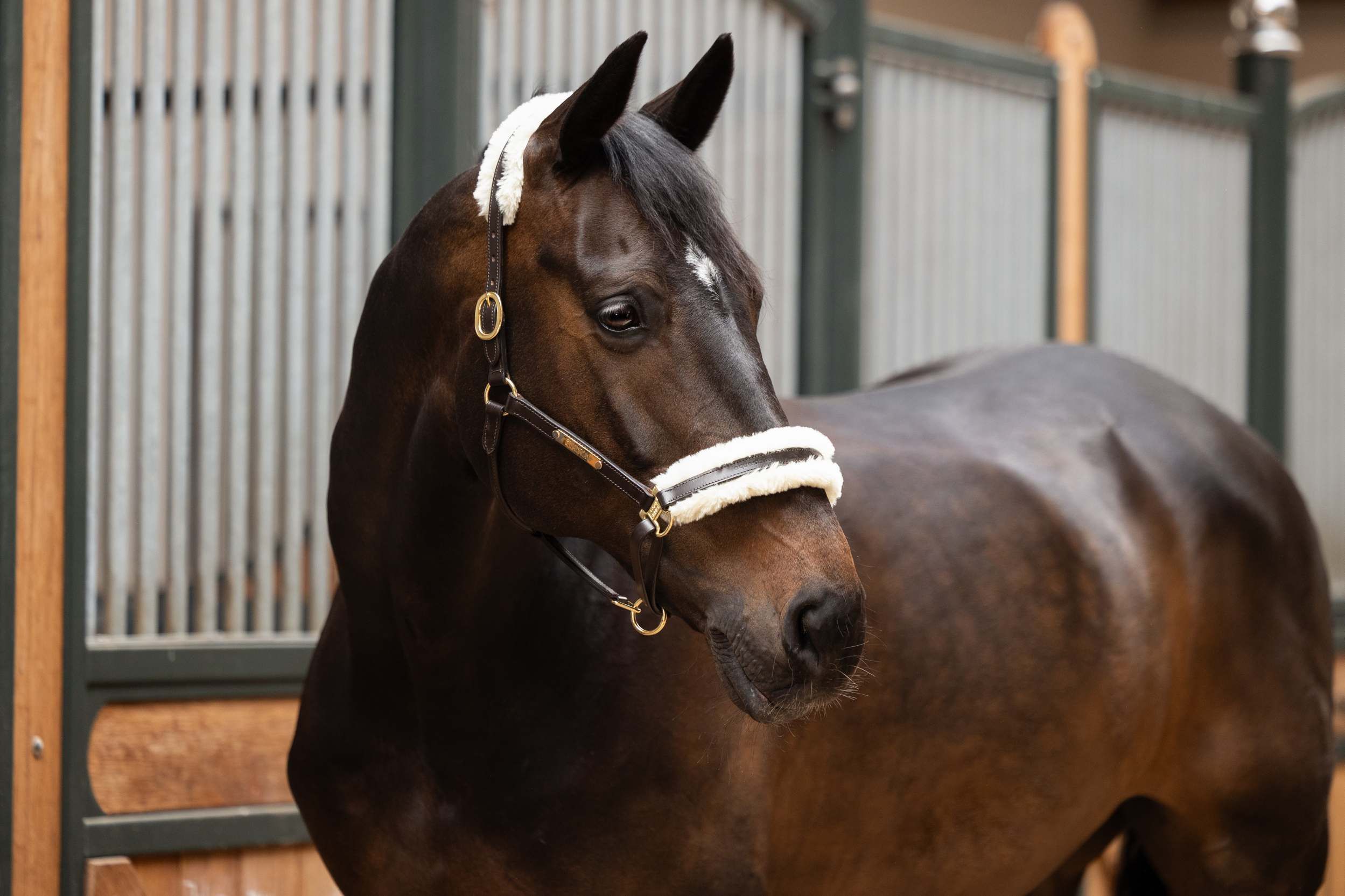 Schoner FauxFur Set Elegance