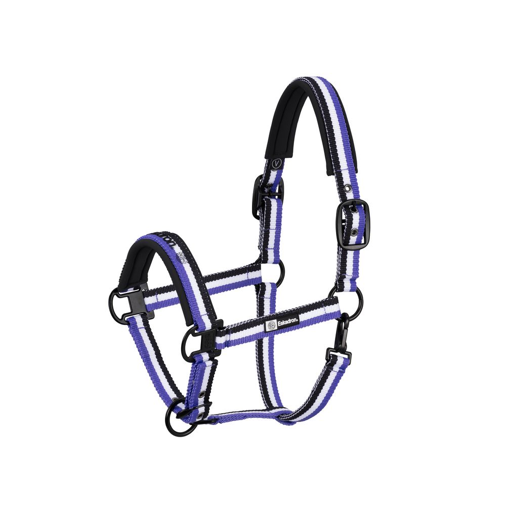 Halfter Double Pin Dynamic FS24