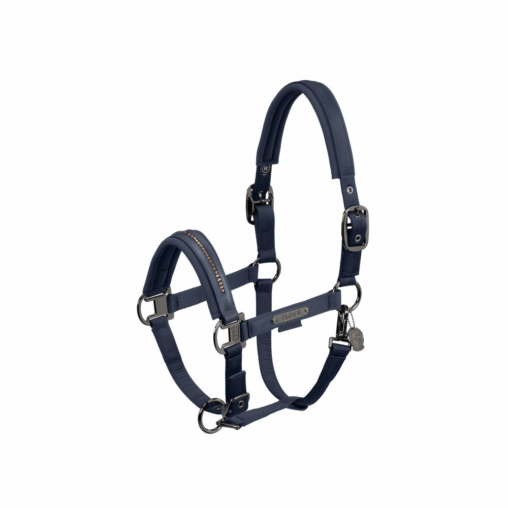 Halfter Double Pin Glossy Crystal Platinum HW24