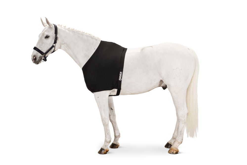 Brustschutz Chest Protector Dyn Mesh 