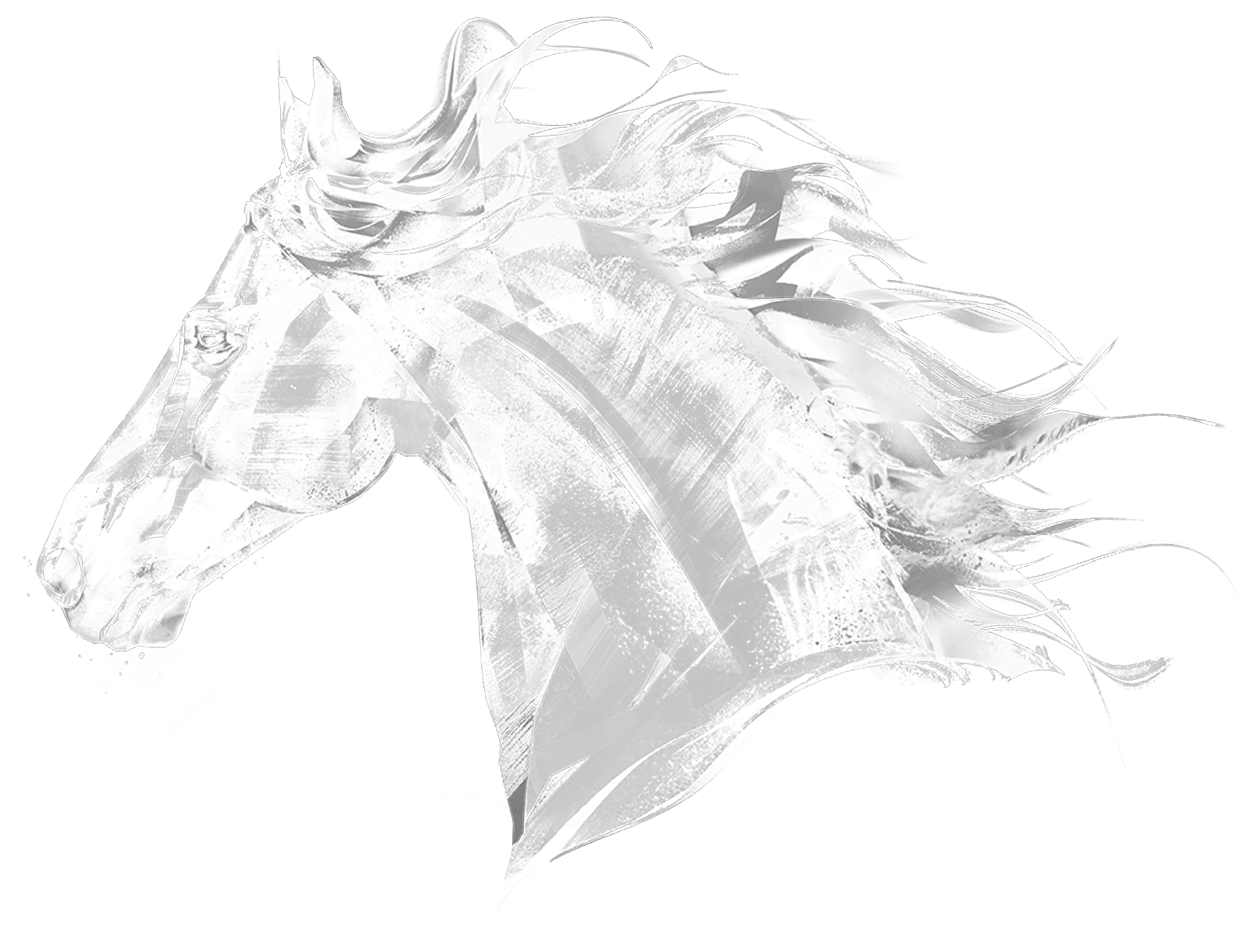 horse-mask