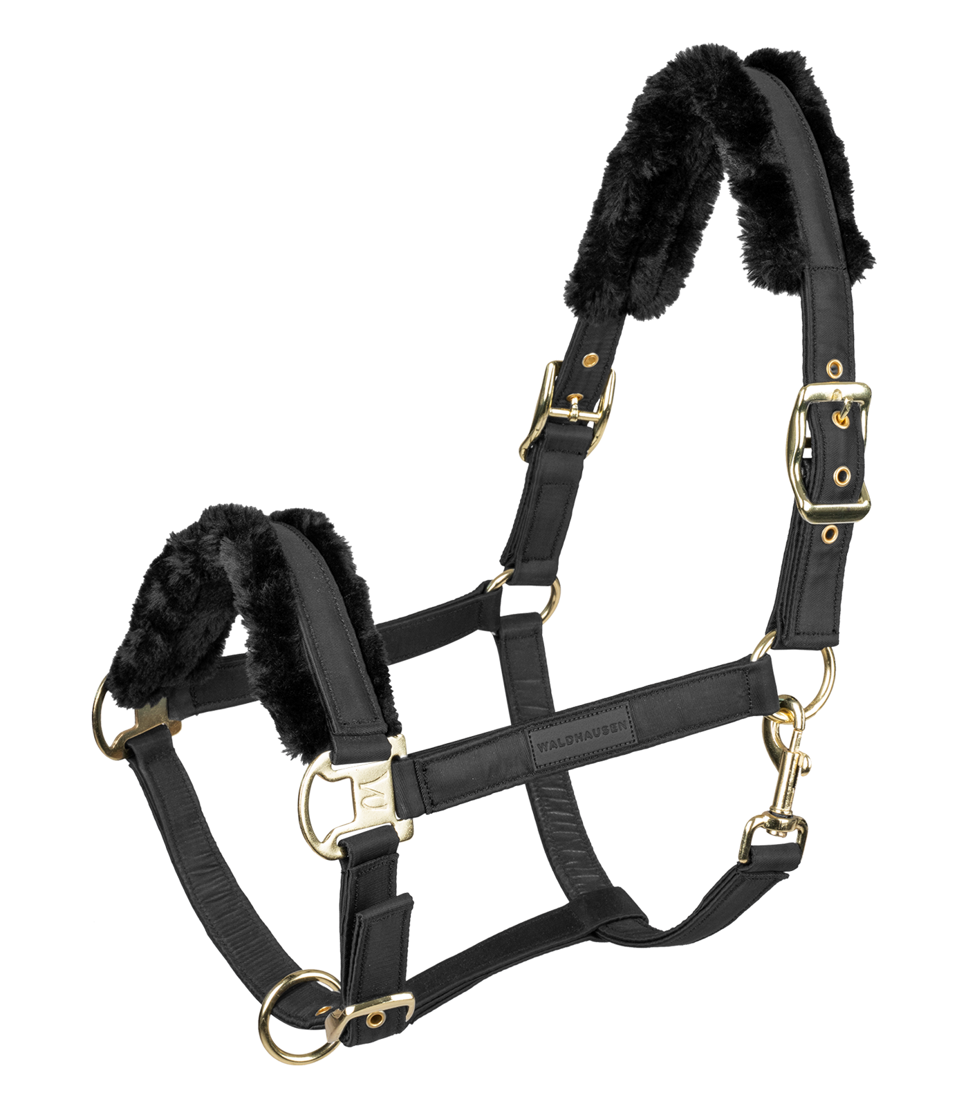 Halfter Exclusive Halfter Exclusive