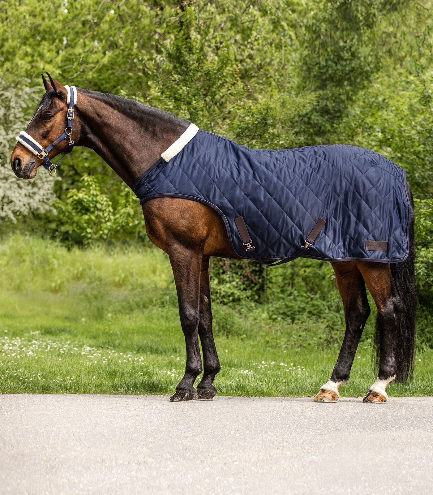 Führmaschinendecke Exclusive Führmaschinendecke Exclusive