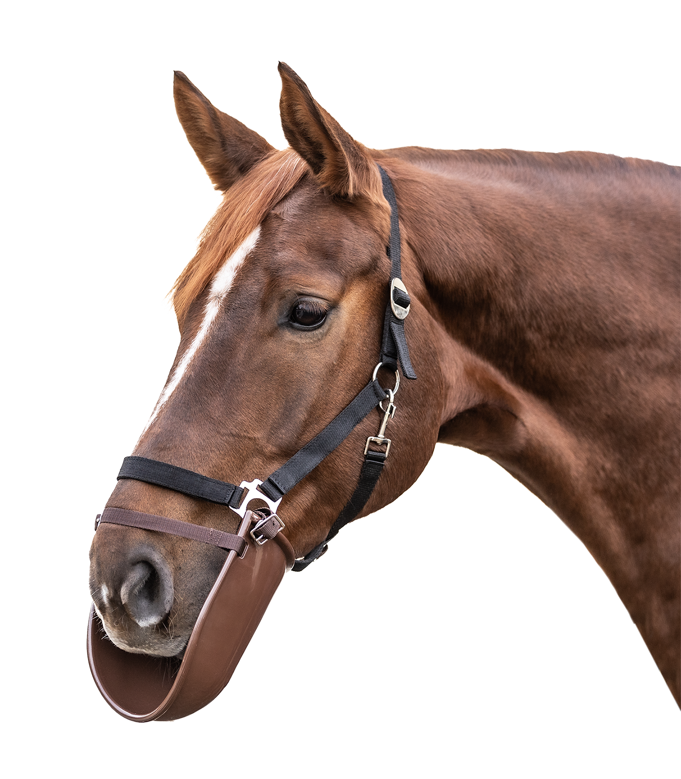 Deckenbeißerschutz Kunststoff